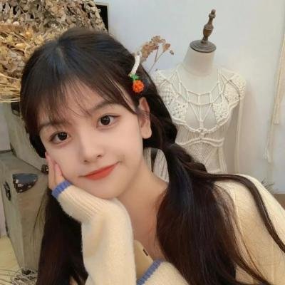 芭比姊妹保姆大冒险